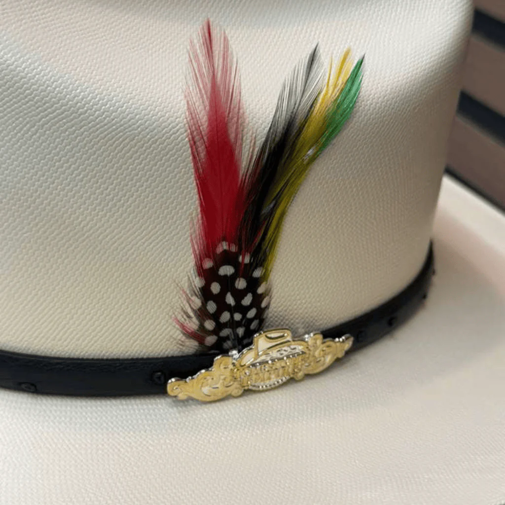 Sombrero Tombstone 10,000x Ala 3" - Image 3